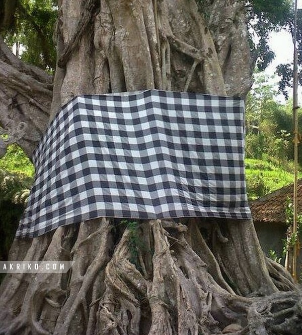 Si Leak &amp; Barong Lanjutan &#91;Part 2&#93;
