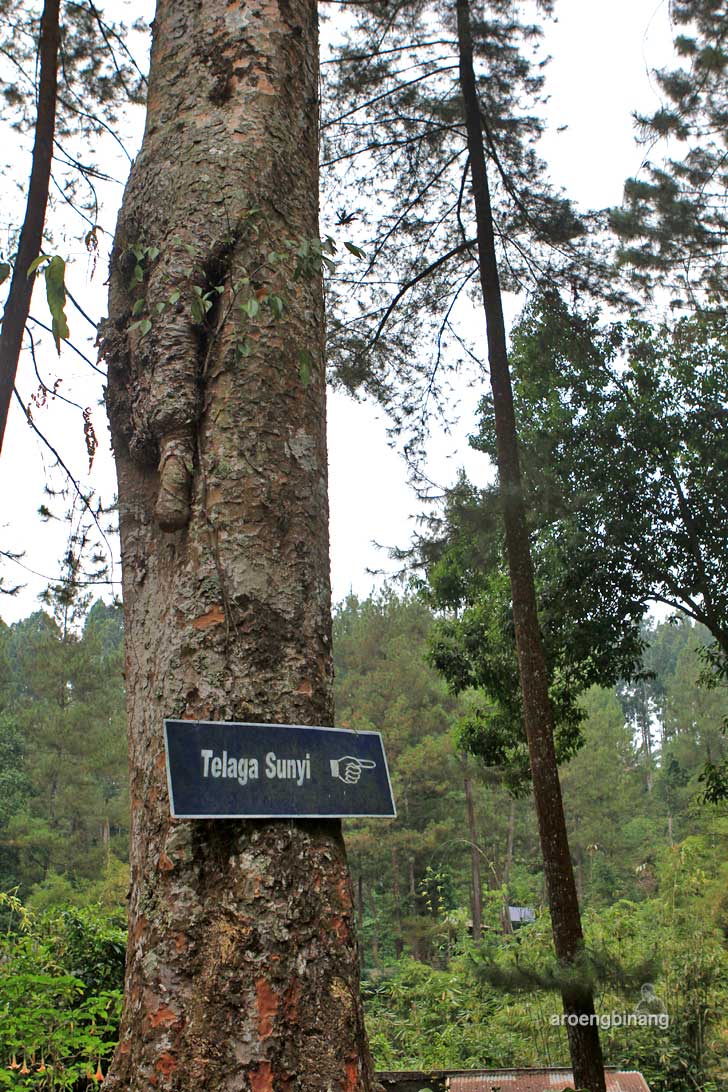 &#91;CoC Regional: Lokasi Wisata&#93; Telaga Sunyi Baturraden, Cocok Buat Merenung