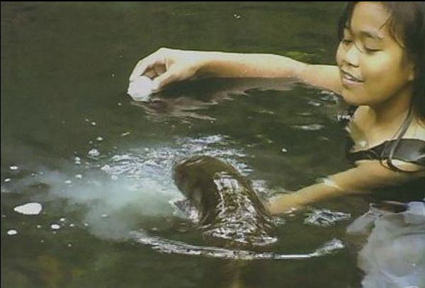 &quot;Ikan MASAPI (Belut Purba) di TILANGA&quot; Kisah Legenda dari Tana Toraja
