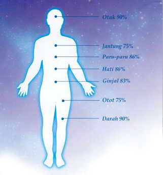 5 MITOS PENURUNAN BERAT BADAN