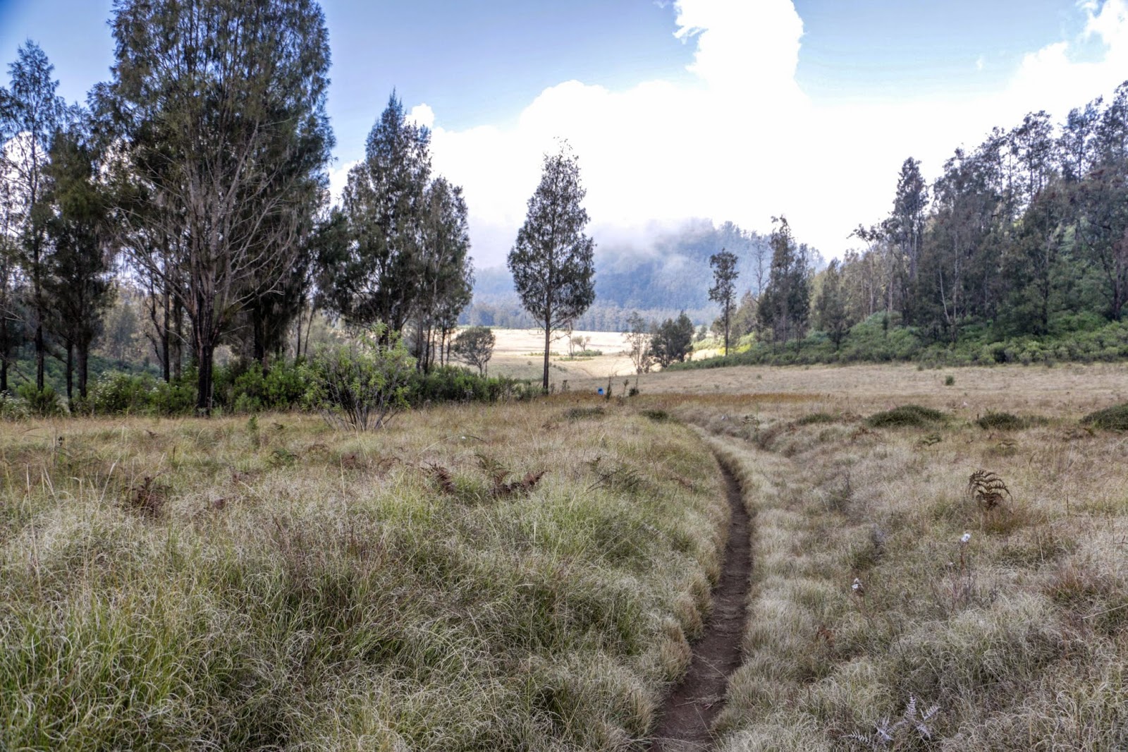 &#91;CATPER&#93; Tiga Puncak di Jalur Pendakian Terpanjang, Argopuro 3088 MDPL (1-7/08/2014)