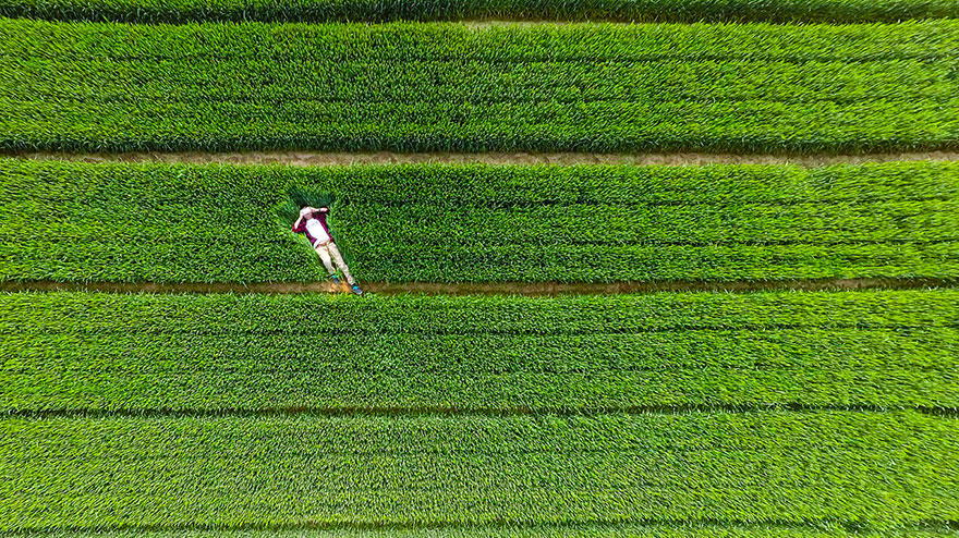 Foto Drone Terbaik di 2015 Versi Dronestagram (Ada yang Dari Indonesia Lho !)