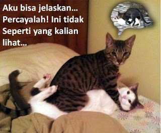 Masuk gan (Dijamin Ngakak) +PIC Nggak ngakak Ane kimpoi Sama JUPE