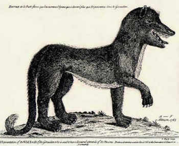 The Beast of Gevaudan - Monster pembunuh dari Gevaudan