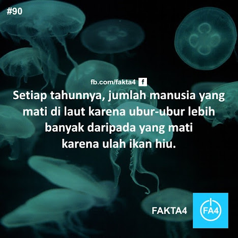 Some About Fact!