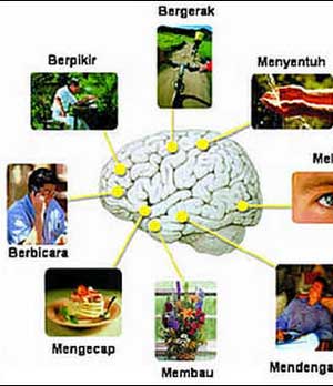 9 MISTERI YANG MASIH TERSELUBUNG DI BIDANG SAINS