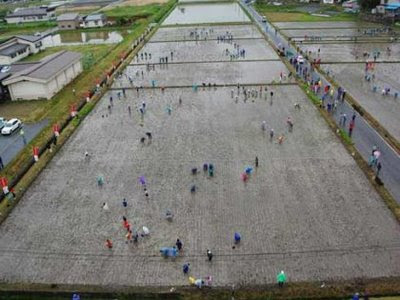 MELUKIS SAWAH SENI UNIK DARI JEPANG