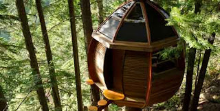 5 Rumah Pohon Paling Unik Di Dunia