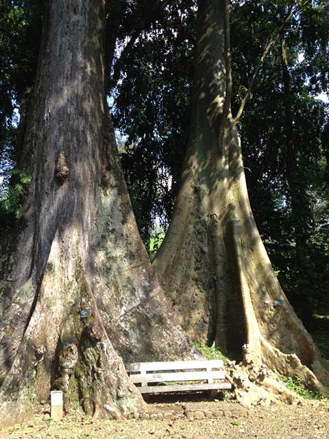 Referensi tempat Buat Jones !!! tempat wisata enteng jodoh....