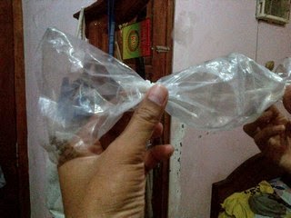 Tips Cara Bersih Menangkap Myamuk Tanpa Ada Darah Tanpa Najis