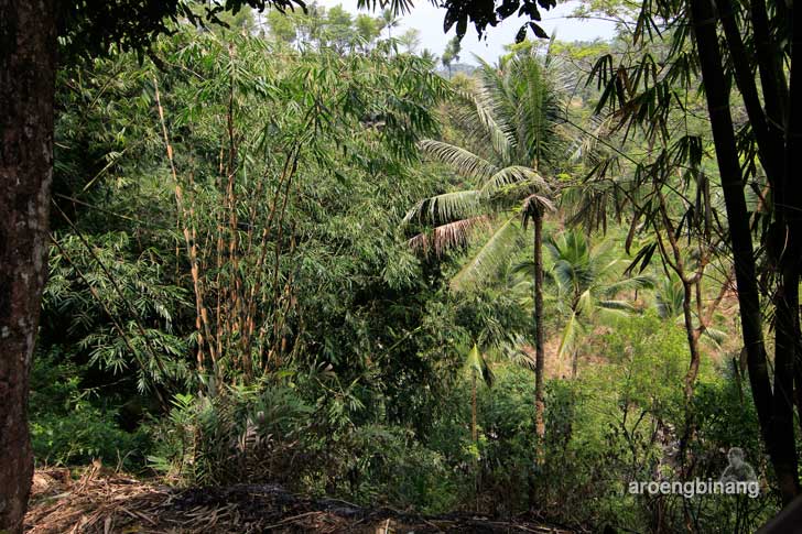 &#91;CoC Regional: Lokasi Wisata&#93; Curug Ceheng: Sumbang Banyumas