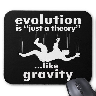 Kesalahpahaman Tentang Teori Evolusi