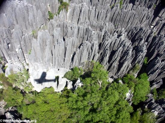 &#91;PICT&#93; Tsingy, Hutan Batu Terbesar di Dunia