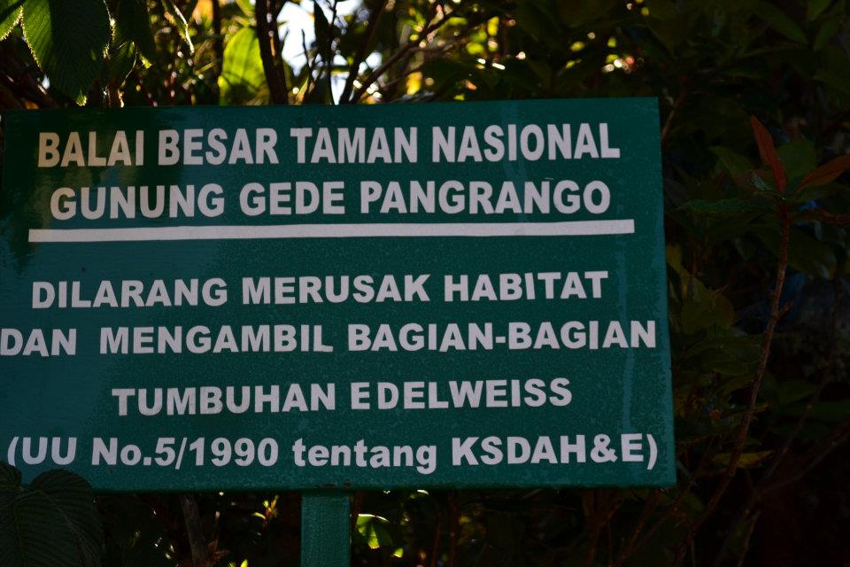 Gunung Gede dikotori para pendaki