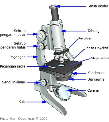 Bagian-bagian Mikroskop (Mari Belajar)