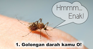 Ciri-ciri manusia yang disukai nyamuk