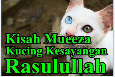 Muezza,Kucing Kesayangan Nabi Muhammad SAW