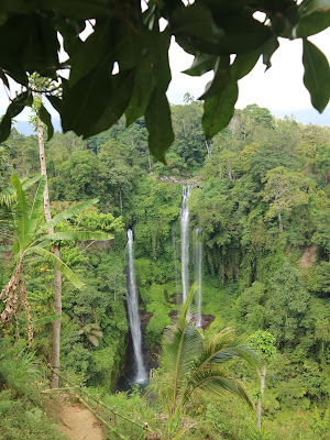 Eargasm, Menikmati Air Terjun di Bali Utara!