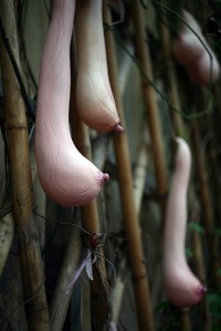 buah beneran yang sexy bb++