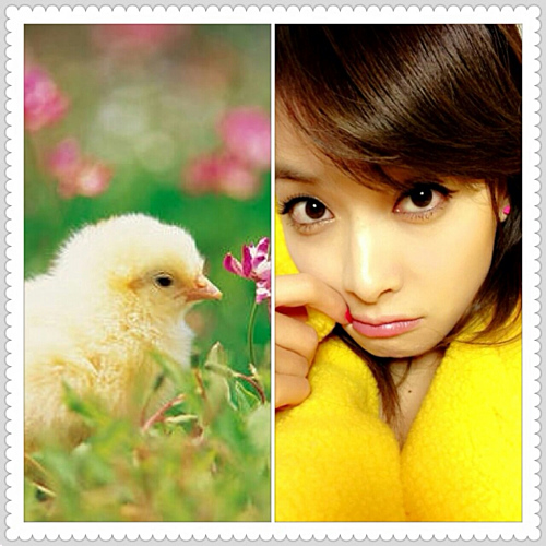 k-pop-update-news-pict-video