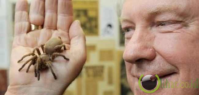 10 Cara Aneh Mengumpulkan Dana Untuk Amal 