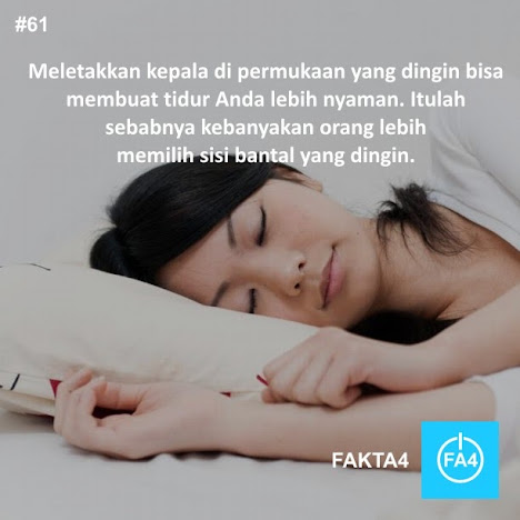 Some About Fact!
