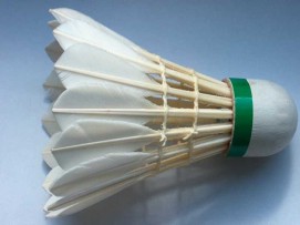 ltlt-wulu-tamplek-regsolo-aka-badmintongtgt