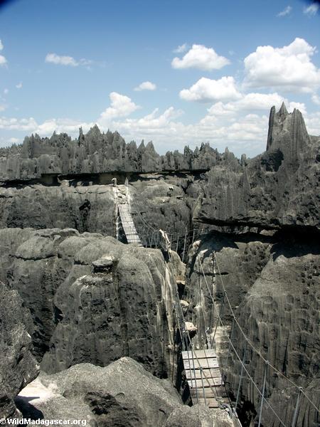 &#91;PICT&#93; Tsingy, Hutan Batu Terbesar di Dunia