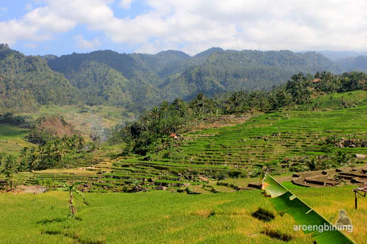&#91;CoC Regional: Lokasi Wisata&#93; Situs Batur Agung Kedungbanteng Banyumas