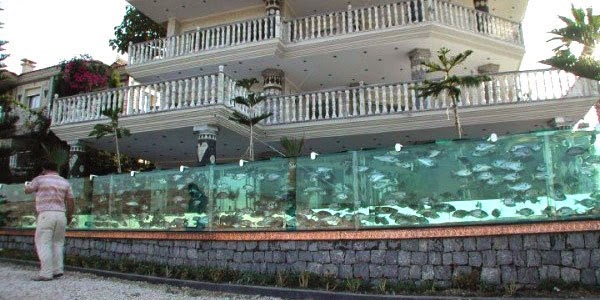 20 Aquarium Terkeren, Bikin Kamu Pingin Jadi Ikan