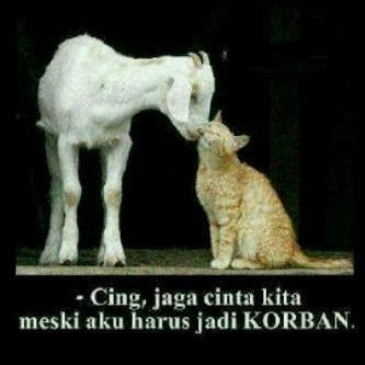 Perasaan Kambing Sebelum Eksekusi di Hari Raya Kurban [Meme Lucu]