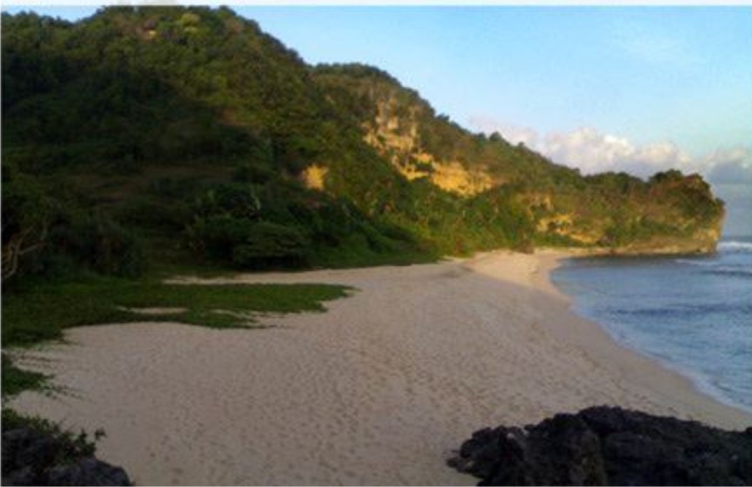 pantai di Wonosari &amp; makanan khasnya,JOGJAKARTA