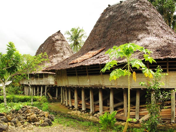 (HOT) INI DIA TEMPAT-TEMPAT TERBAIK YANG WAJIB DIKUNJUNGI DI PULAU NIAS