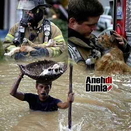 Hati Dari Emas Mulia