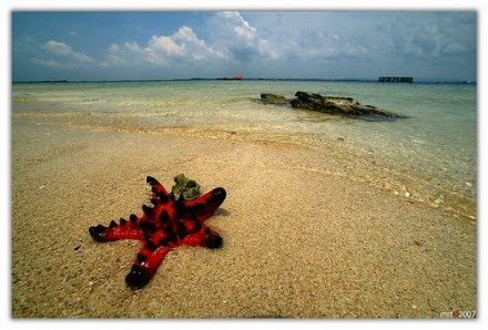 Pulau Unik, Timbul dan Tenggelam.. PENASARAN ? MASUK dehh !!