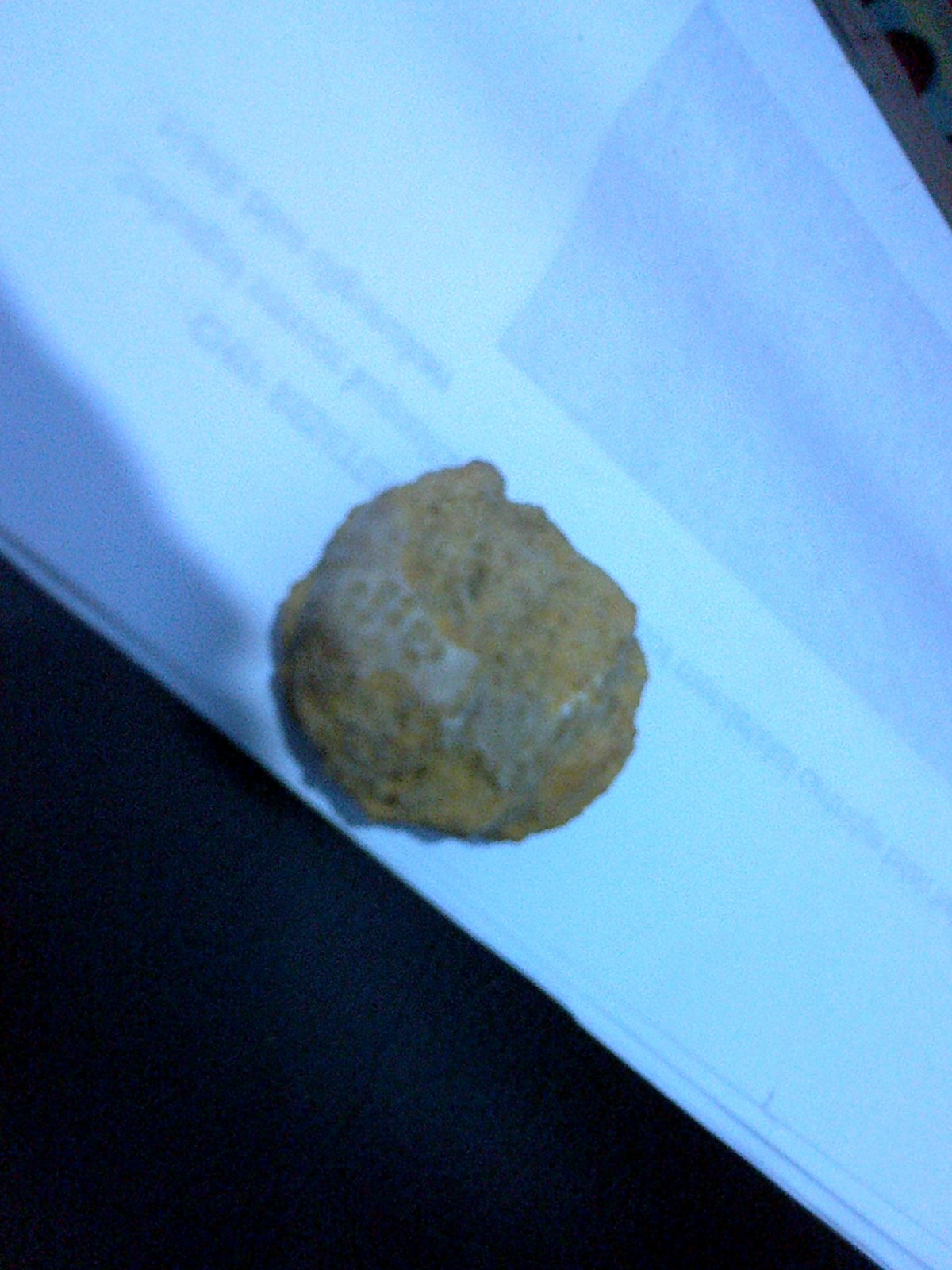 Hasil temuan Fosil - fosil ane ... : )