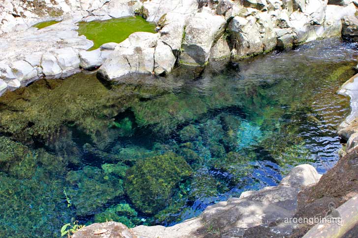 &#91;CoC Regional: Lokasi Wisata&#93; Telaga Sunyi Baturraden, Cocok Buat Merenung