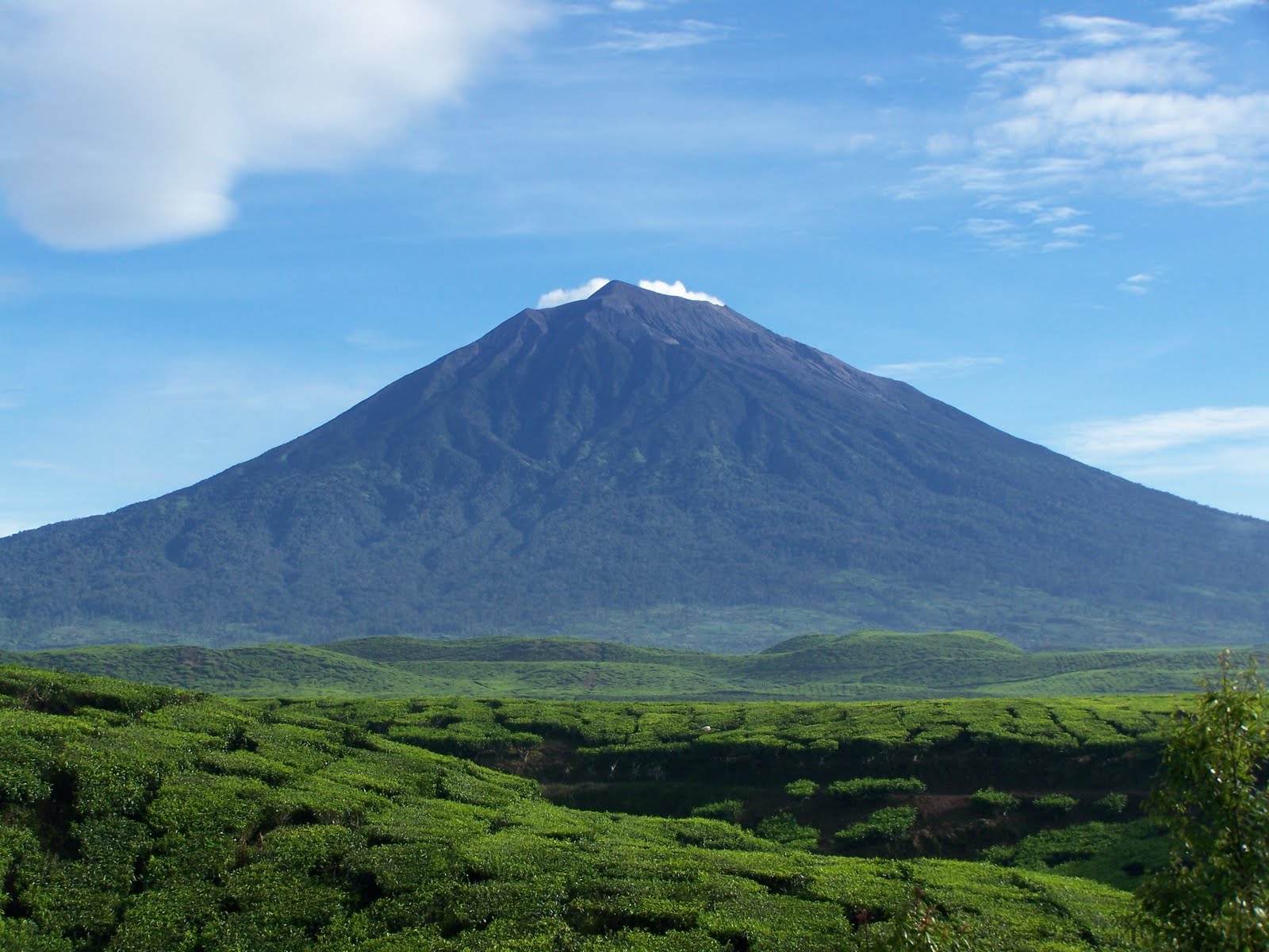 10 Gunung Tertinggi di Indonesia