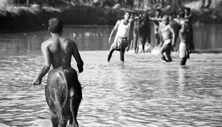 10 Foto Yang Bakal Menipu Anda