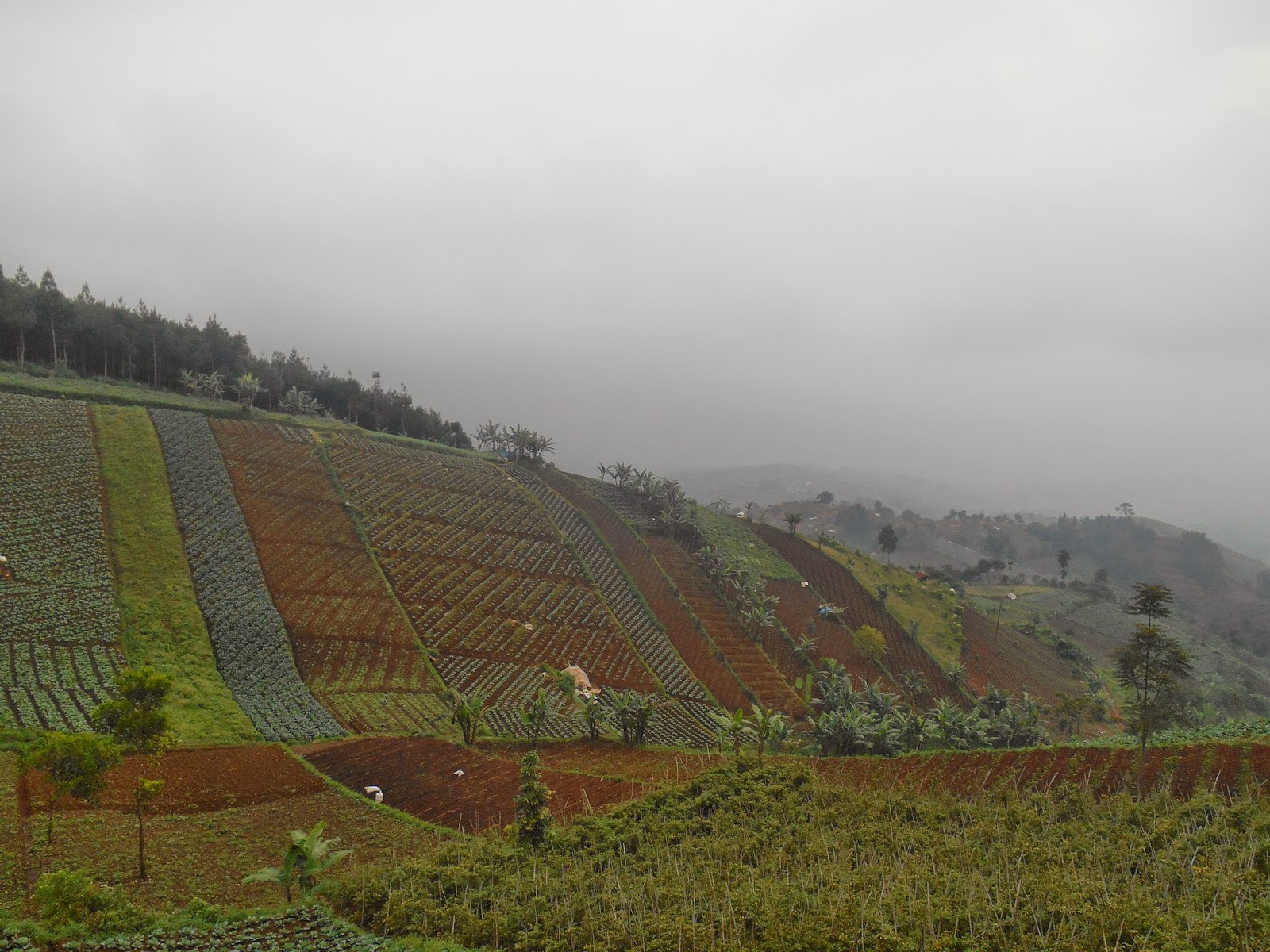 &#91;CATPER+VIDEO&#93; KELILING BANDUNG