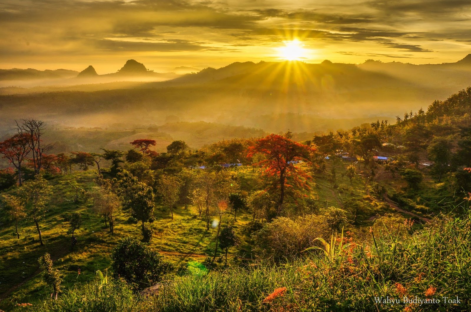 &#91;MUST SEE!!!&#93; Negeri Atas Angin dan Keunikan Lain Bojonegoro