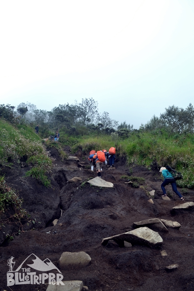 Referensi Catatan Perjalanan Gunung Merbabu