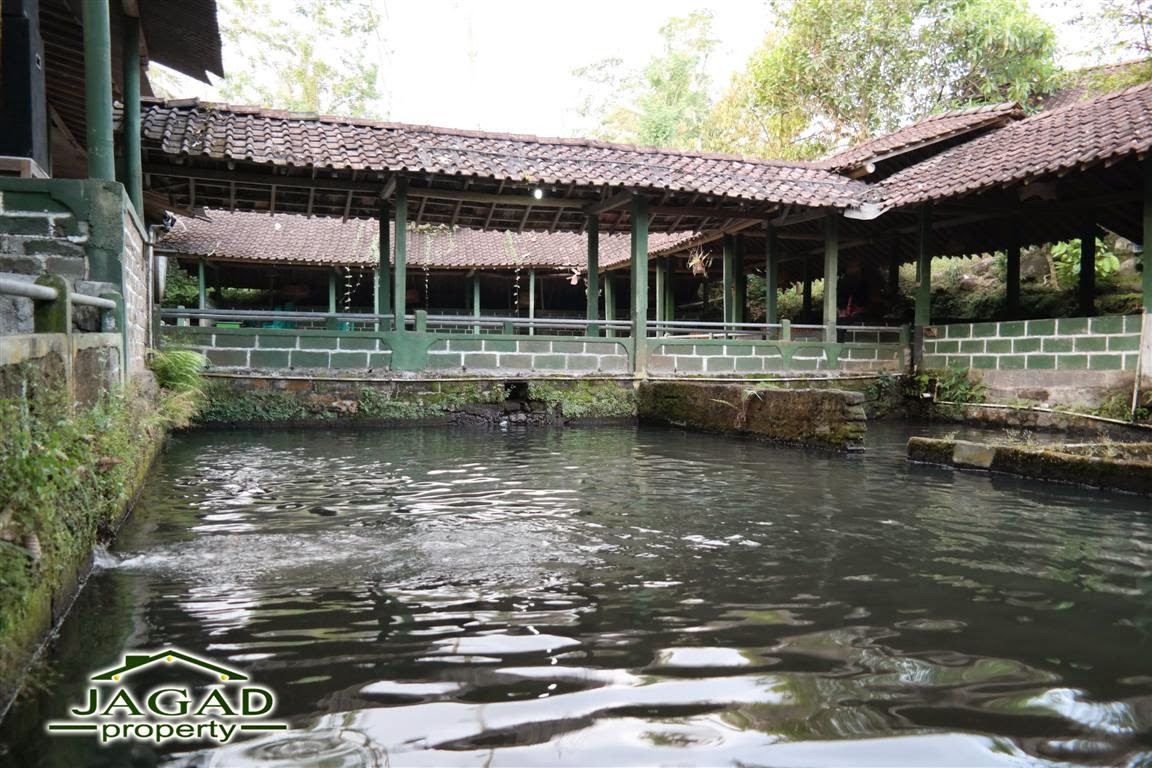 Oper Manajemen Rumah makan dilengkapi Kolam Renang