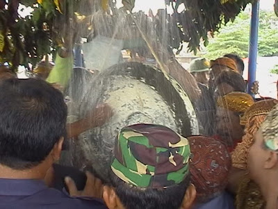 9668--share--all-about--blitar-9658---part-3