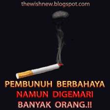 Seorang Perokok dan Pro Rokok yang Sama-sama Bodoh