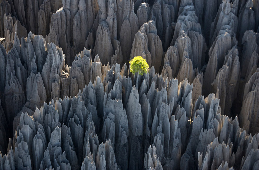 &#91;PICT&#93; Tsingy, Hutan Batu Terbesar di Dunia