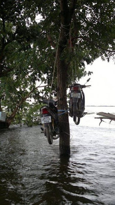 Ide Kreatif Pada saat Banjir di Thailand (Jakarta harus mencontoh)