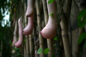 buah beneran yang sexy bb++