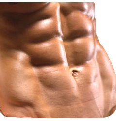 Cara Membuat Perut Six Pack Tidak Perlu Lama, Saran (Cekidot) Bag. 2