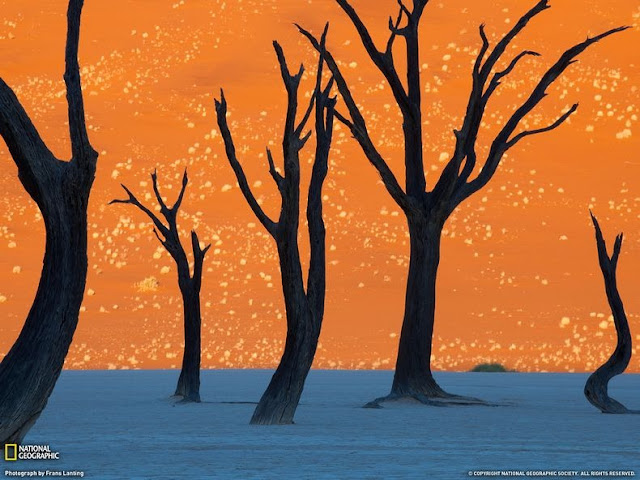 Lanskap Aneh Deadvlei Namibia